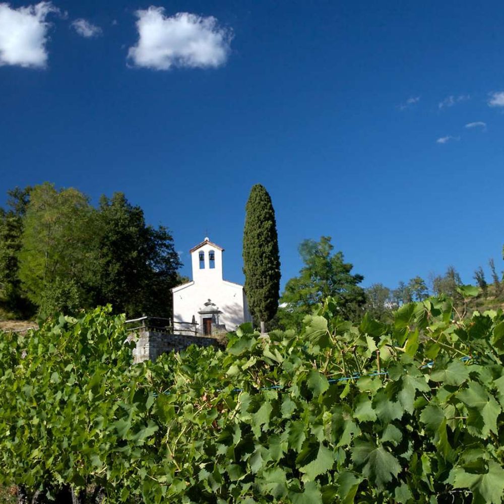 corno di rosazzo territori folkest 2025